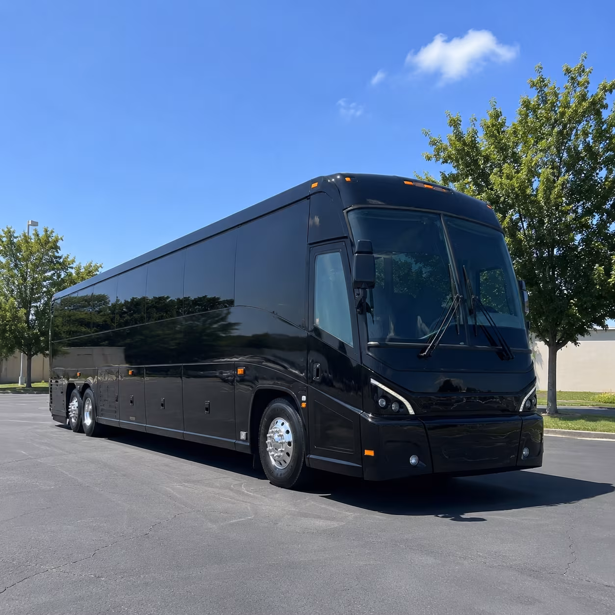 arlington 56 passenger charter bus