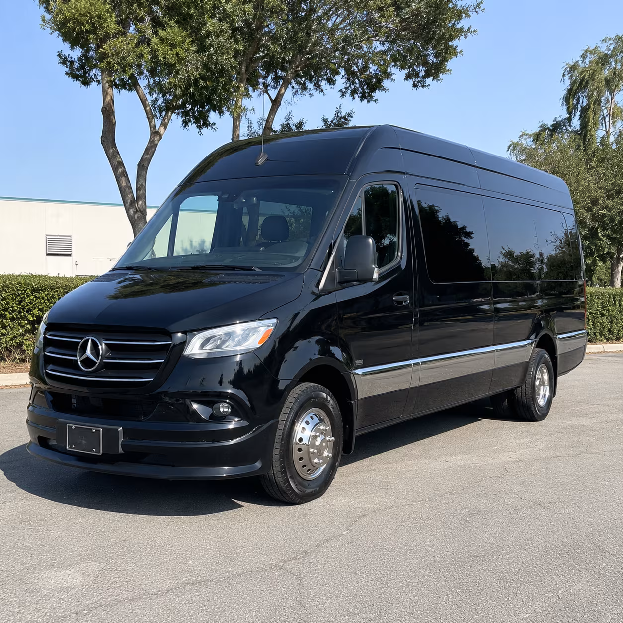 book the perfect ride for your next birthday 2